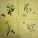 263 Daisies  - 3 ply - (blue) - Home Fashion